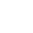 中文