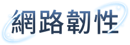 網路韌性