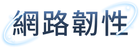 網路韌性