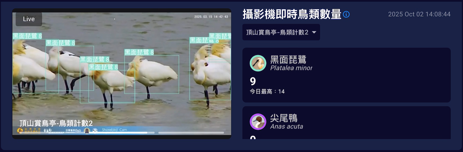 AI候鳥影像辨識系統畫面1
