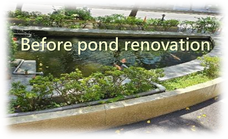 Jinshan Building nature-positivity promotion event photo 1