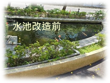 台北金山大樓自然正向理念宣傳活動畫面1