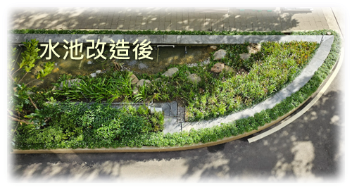 台北金山大樓自然正向理念宣傳活動畫面2